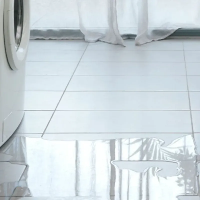 Appliance Leak Cleanup in Berkley, MI