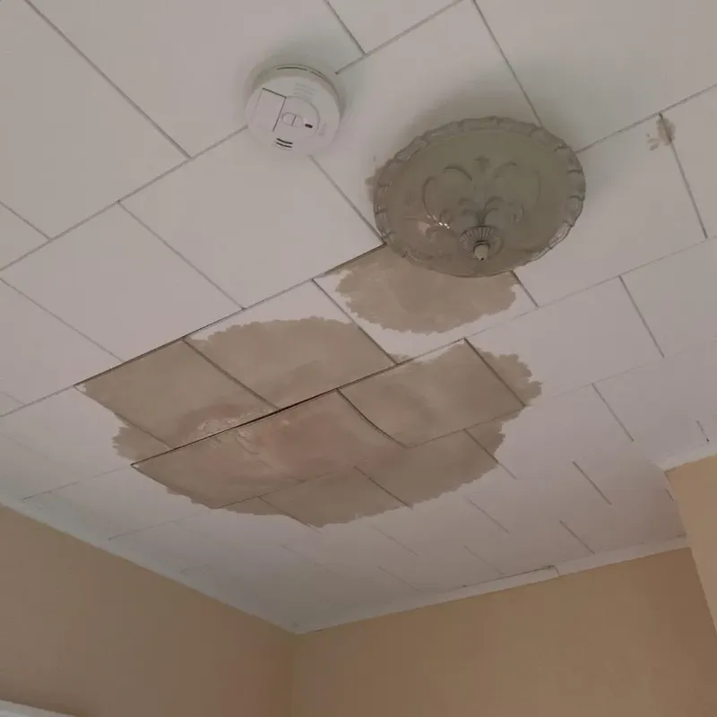 Ceiling Water Damage Repair in Berkley, MI