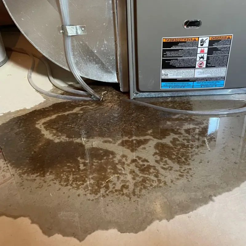 Pipe Burst and Leak Restoration in Berkley, MI